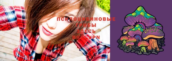 прущая мука Галич