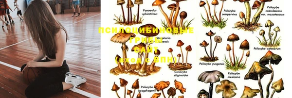 прущий лед Коряжма