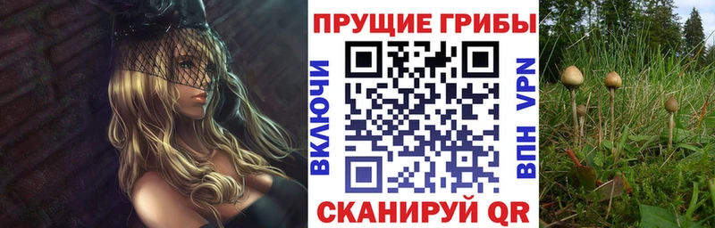 Галлюциногенные грибы ЛСД  Купить  Губкин 